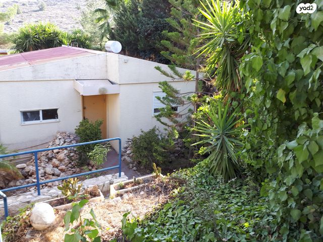 ספיר 10