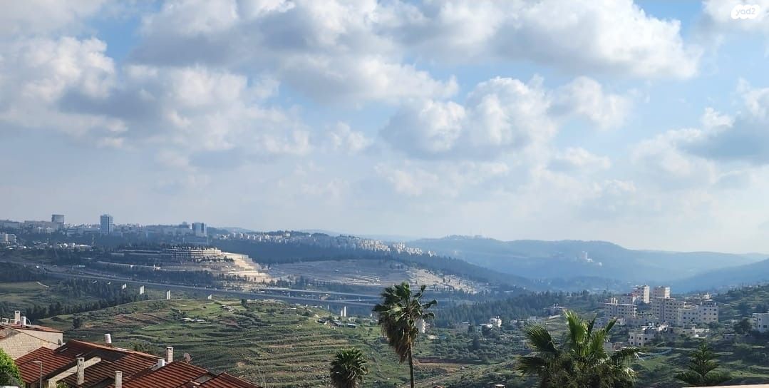 ראובן שרי 11