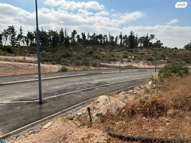 הרב שלמה קרליבך 1