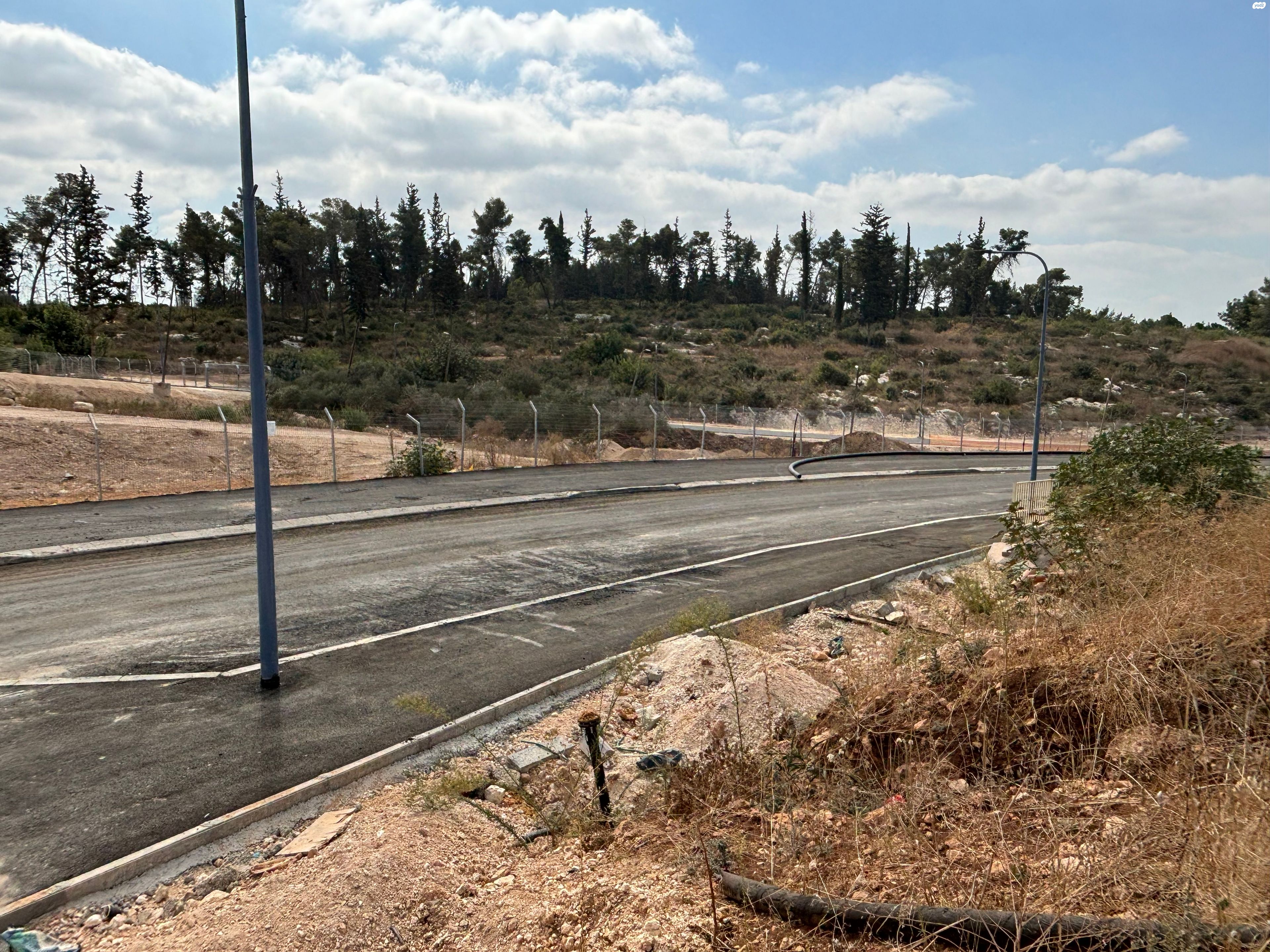 הרב שלמה קרליבך 1