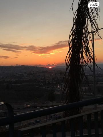 דליה 22