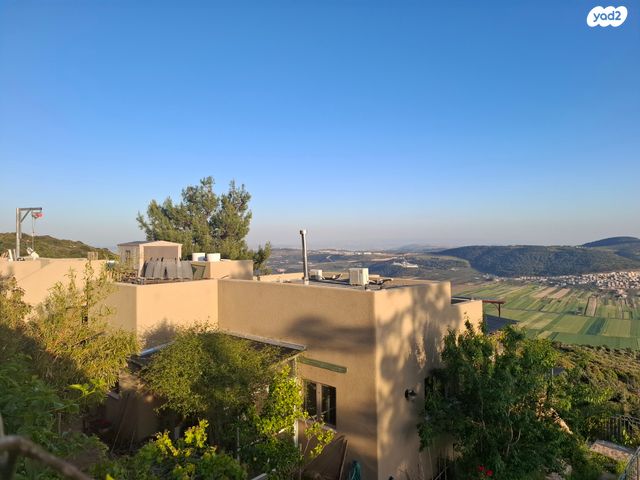 נטופה 24