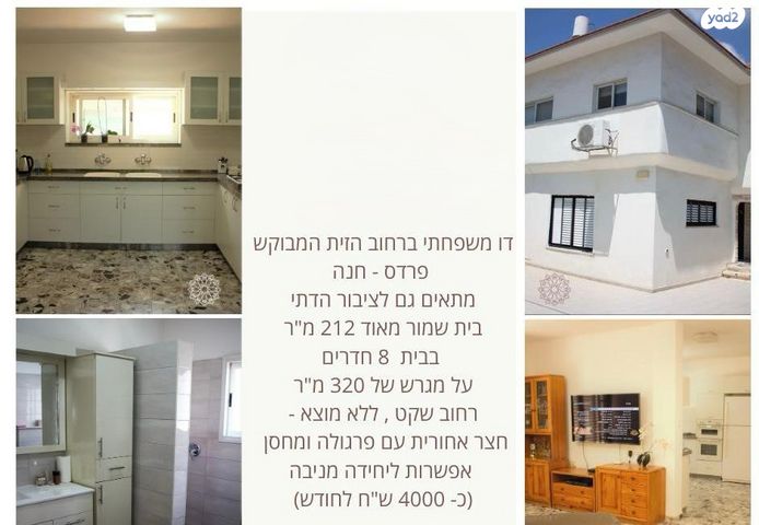 הזית 29