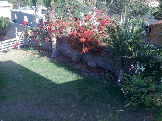 בית פרטי/ קוטג', ורד יריחו, ורד יריחו, ורד יריחו