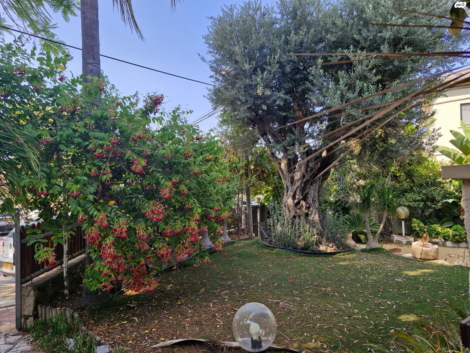 הותיקה