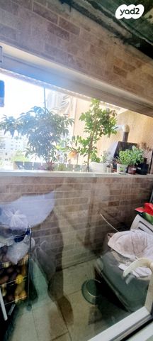 דירה, הגפן, קרית אליעזר, חיפה