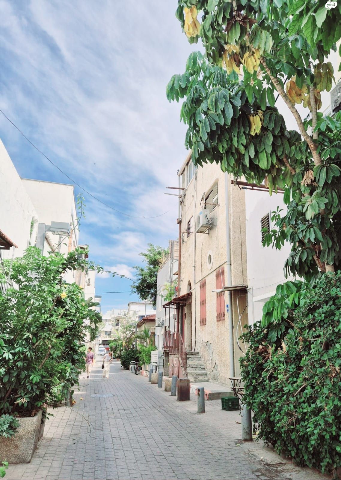 כרם התימנים