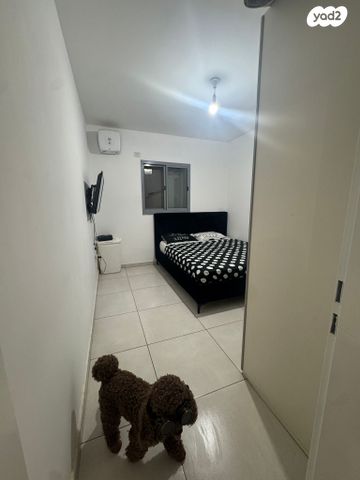 דירה, נווה שרון / שער העיר, נתיבות