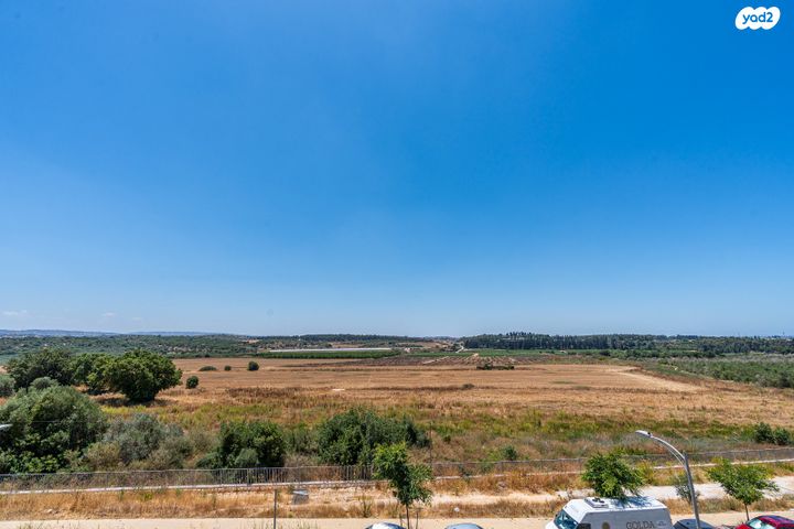 דירה, יקינטון, חריש