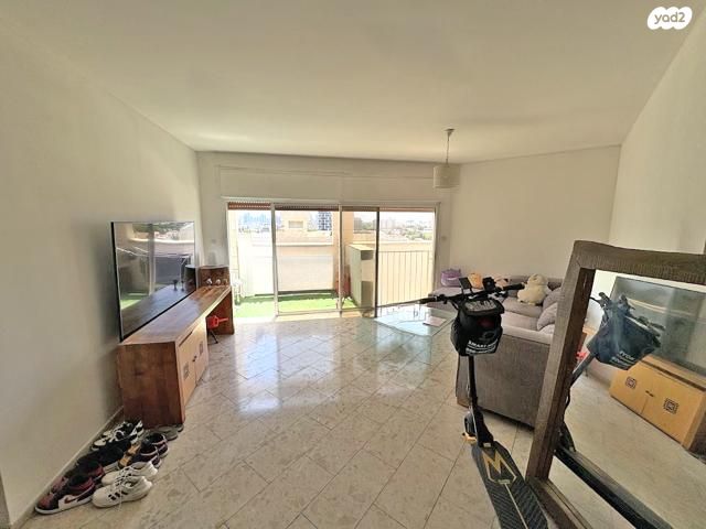 אלכסנדר סשה ארגוב 13