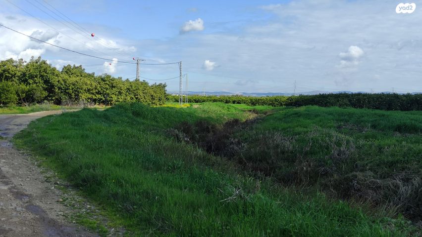 מגרשים, בנימינה גבעת עדה