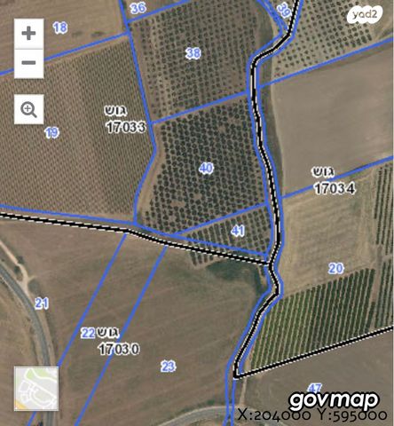מגרשים