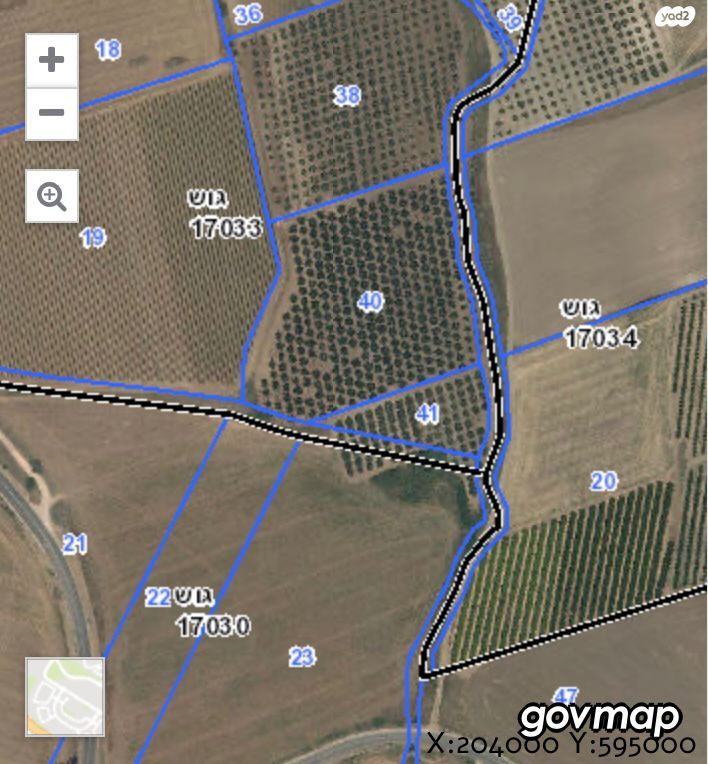 מגרשים