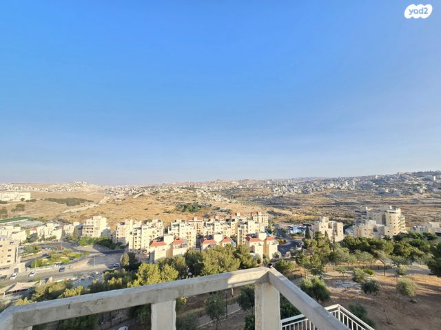 דירה, זאב פלק, חומת שמואל, הר חומה, ירושלים