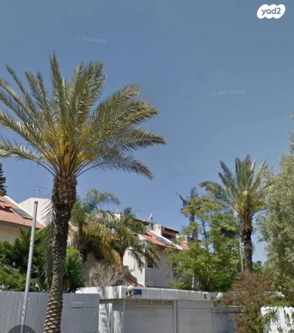 מאיר פיינשטיין 