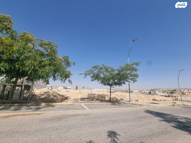 דינה 