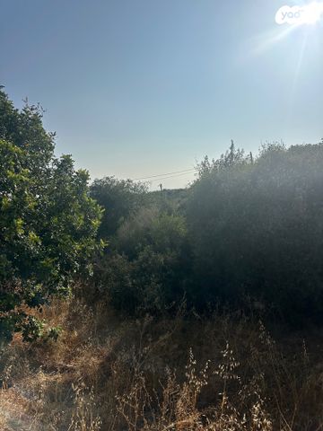 בית פרטי/ קוטג', נווה זיו