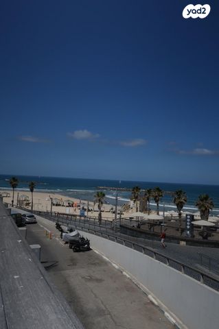 מגרשים, הצפון הישן - צפון, תל אביב יפו