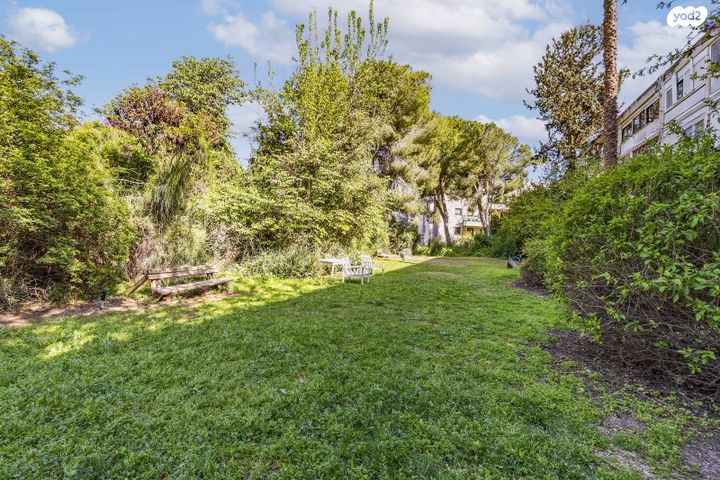 דירה, גבעת בית הכרם, בית הכרם, רמת בית הכרם, ירושלים