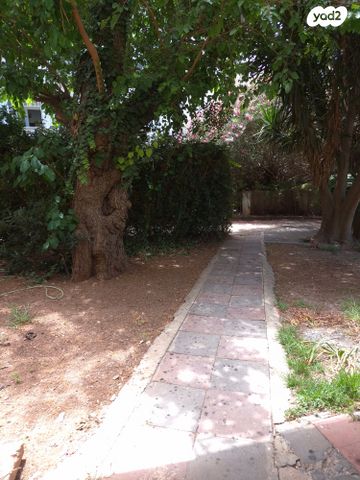 דירה, קלר, מרכז הכרמל, חיפה