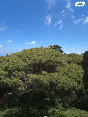 דירה, קלר, מרכז הכרמל, חיפה