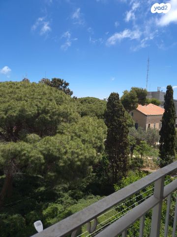 דירה, קלר, מרכז הכרמל, חיפה