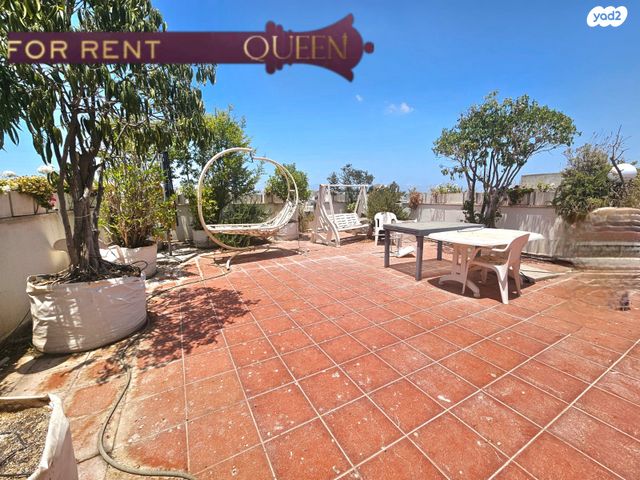 נווה דוד רמז