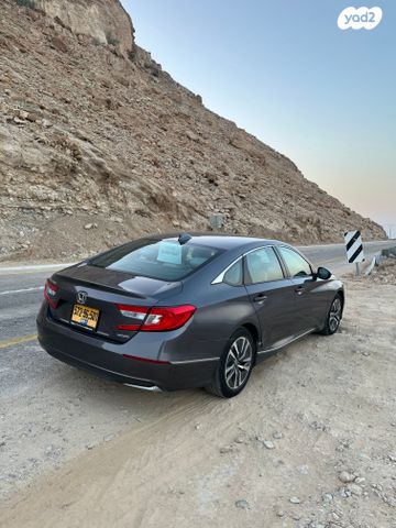 מודעת רכב הונדה אקורד