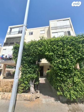 אבא ברדיצ'ב 