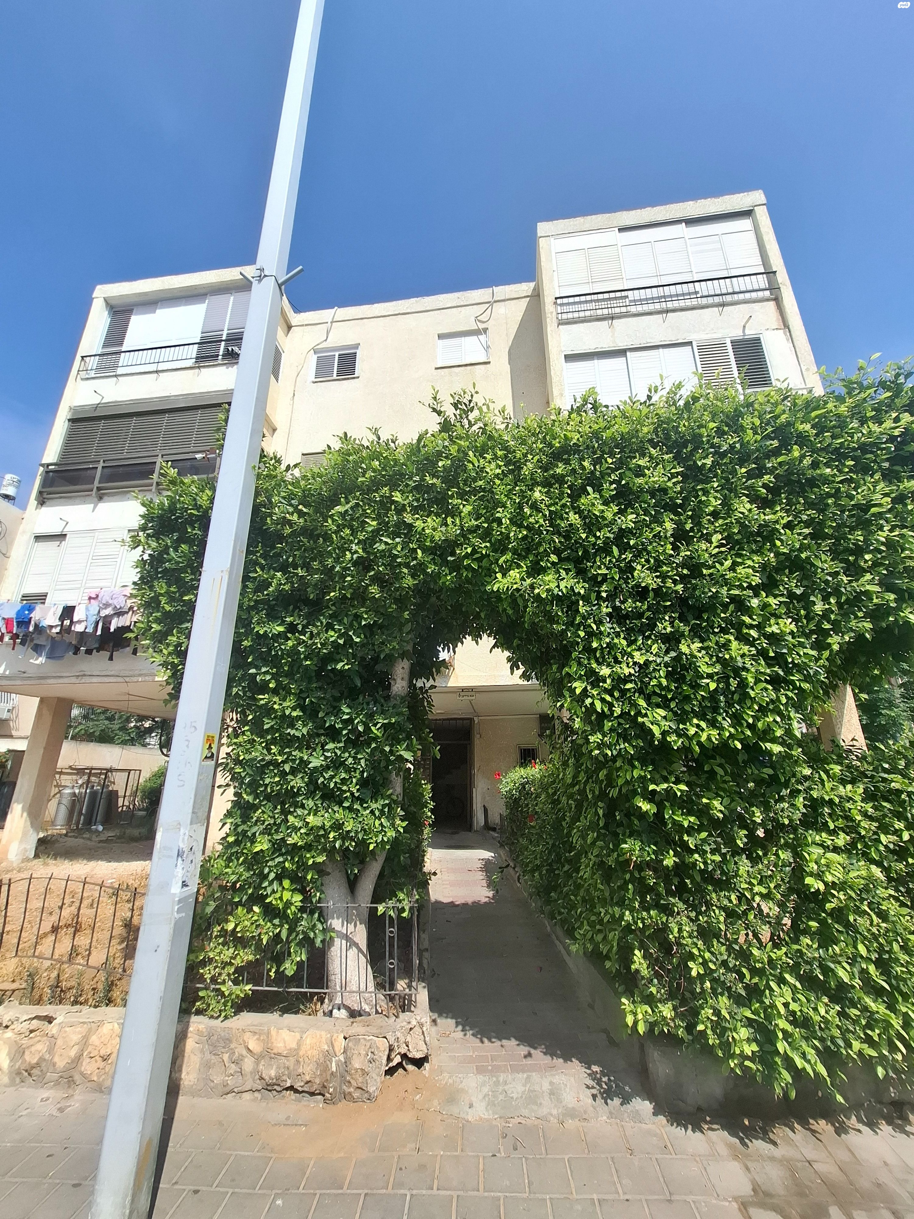 אבא ברדיצ'ב 