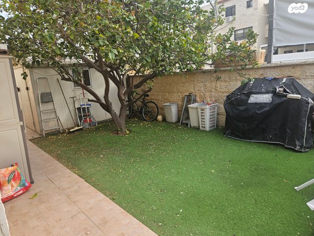שמעון הצדיק 17
