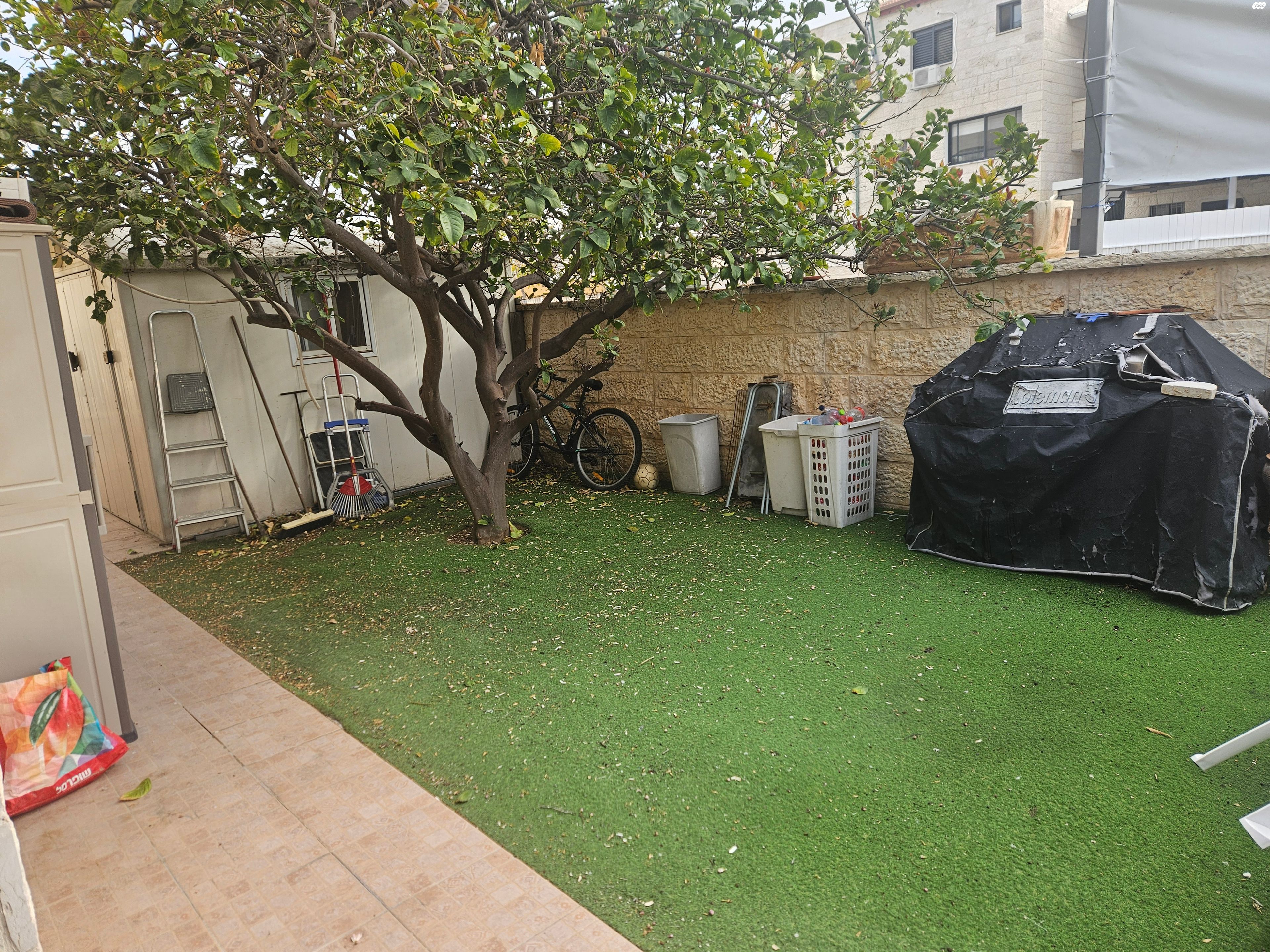 שמעון הצדיק 17