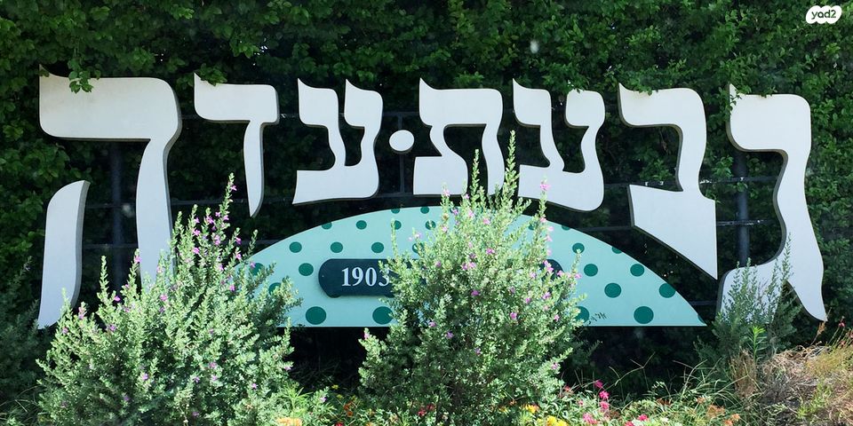 מגרשים