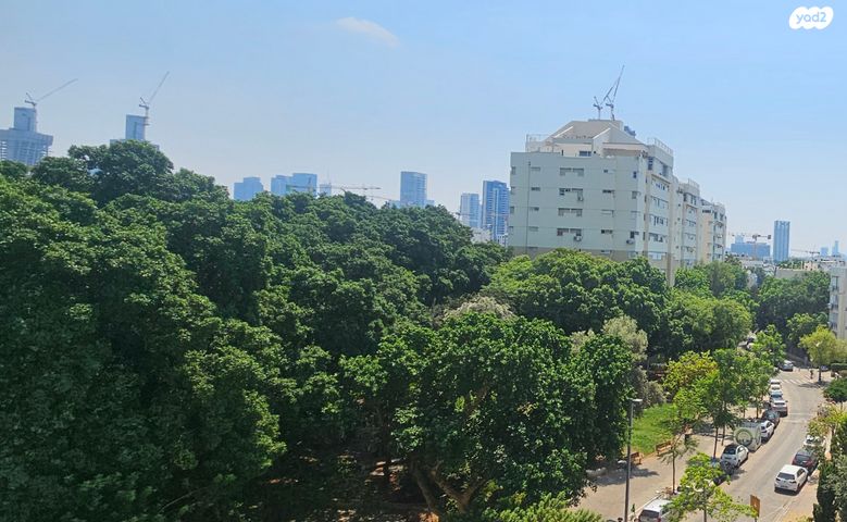 דירה, יוחנן הורקנוס, הצפון הישן - צפון, תל אביב יפו