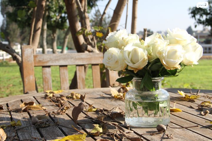 משק חקלאי/ נחלה