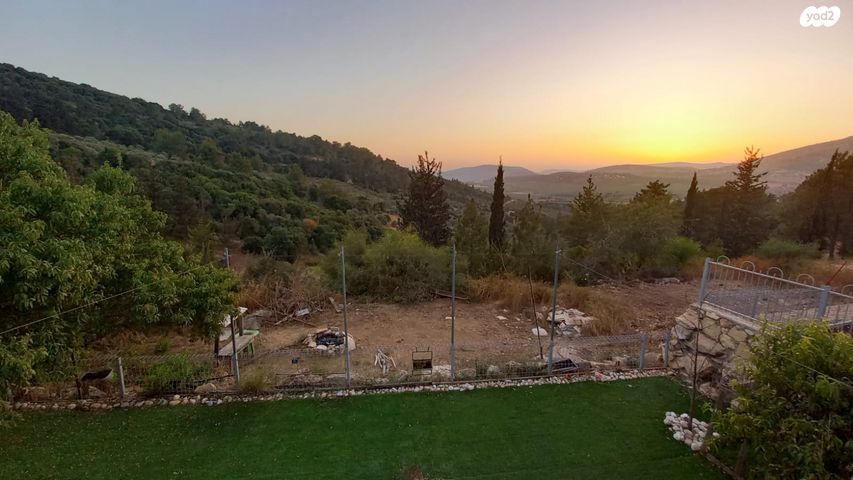 ברוש 30