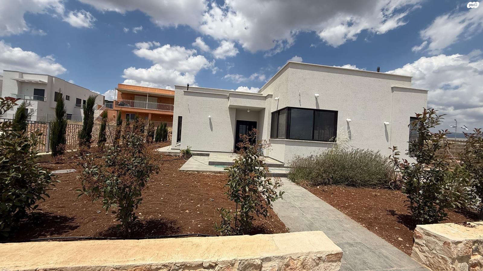 אורן 1