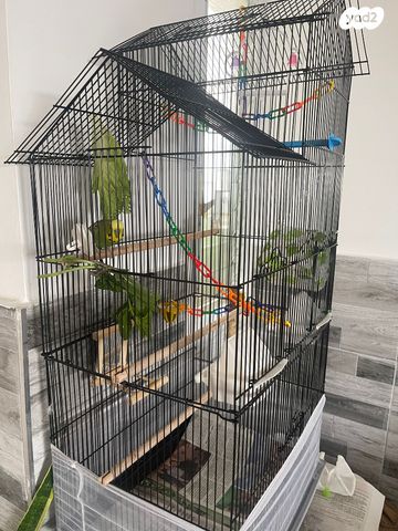 אביזרים | כלוב האכלת יד