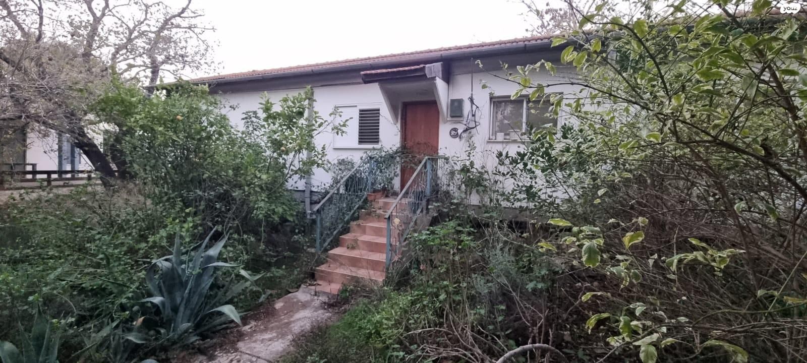 חניתה 