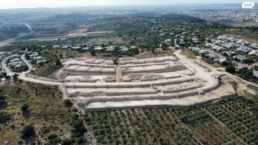 גולן 10
