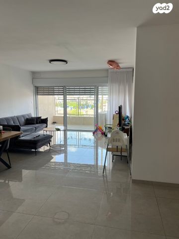 הארזים 12