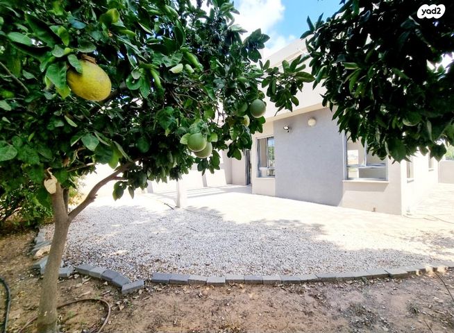 דו משפחתי, השיקמה 9, שאר העיר, אבן יהודה