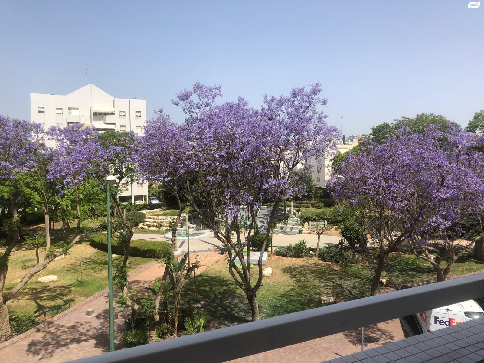 יונה צבי פיינשטיין 21