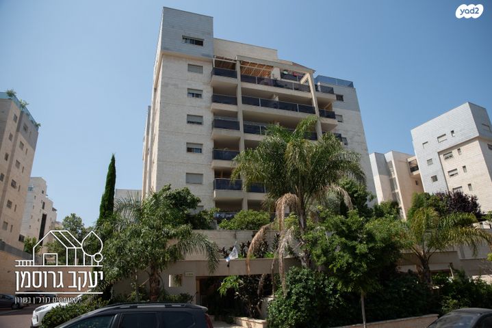 דירה, נחל איילון, צור יצחק, צור יצחק