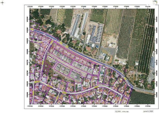 יצחק בן צבי 