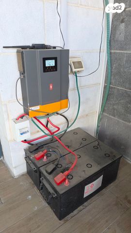 דירה, נרקיס, הפרחים, חריש