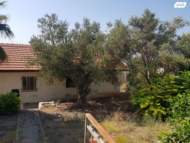 דו משפחתי, הרב עוזיאל, שלומי