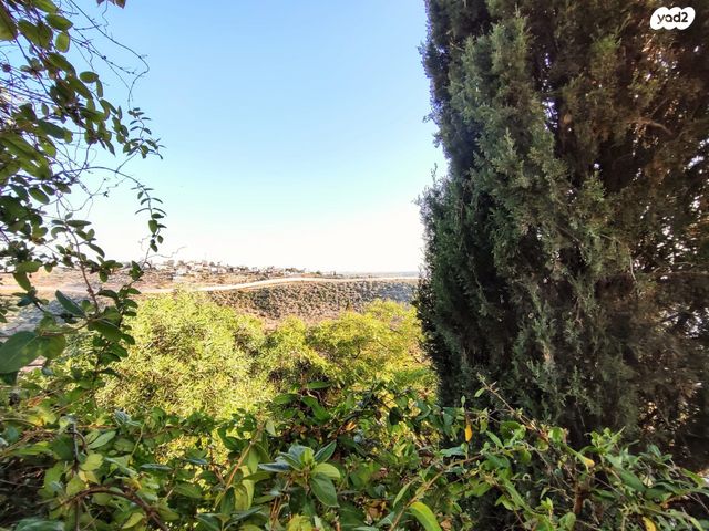 דו משפחתי, כרמל, צוותא א, אלפי מנשה