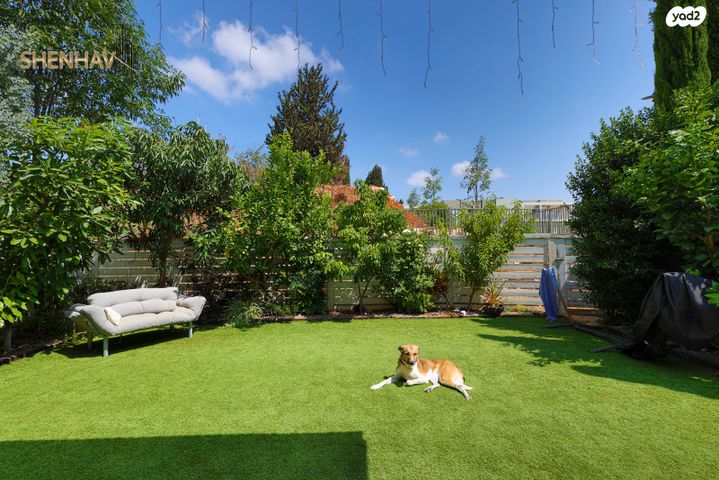 דו משפחתי, תל מונד