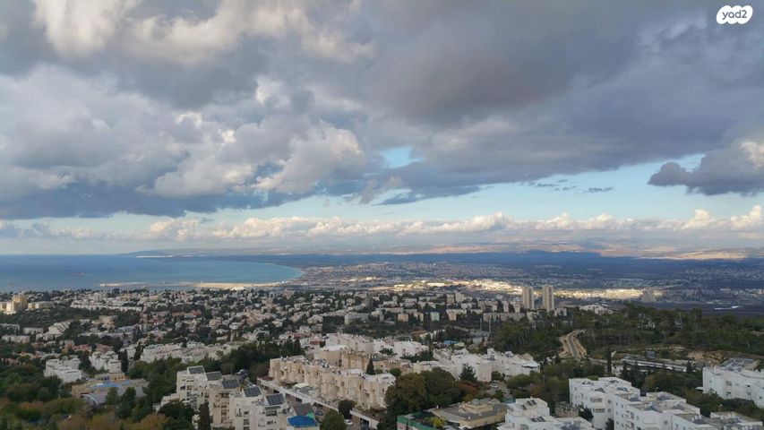 דירה, יגאל אלון, סביוני הכרמל, חיפה